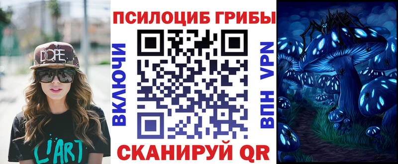закладки  Новосибирск  Псилоцибиновые грибы Psilocybine cubensis 