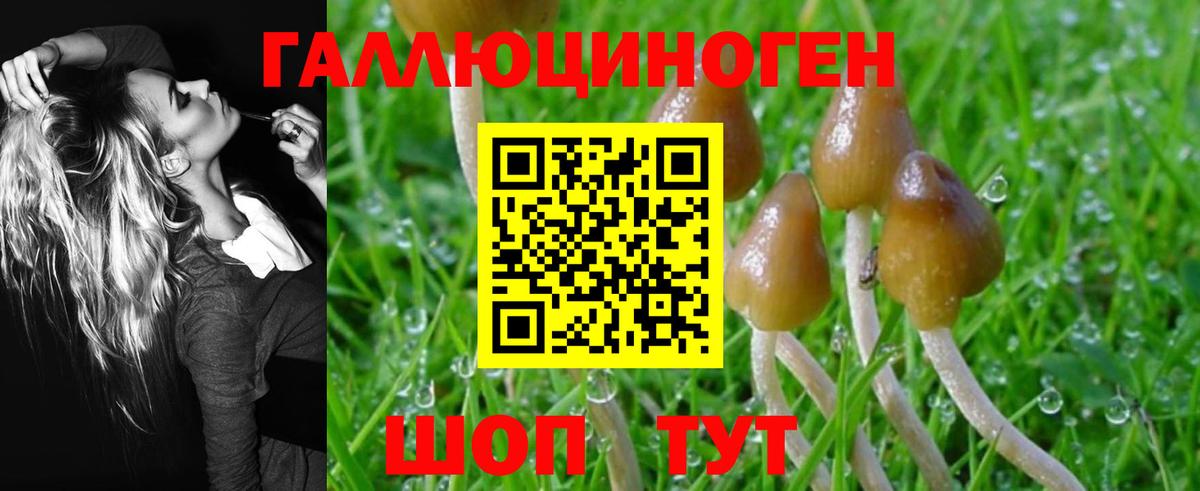 Галлюциногенные грибы MAGIC MUSHROOMS  Псилоцибиновые грибы MAGIC MUSHROOMS  Новосибирск  Вход с VPN 