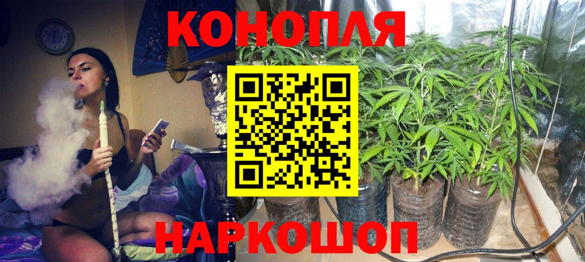 Бошки марихуана White Widow  Бошки Шишки марихуана  Бошки Шишки план  Вход с VPN  Каннабис THC 21%  Новосибирск 